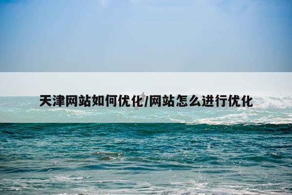 天津网站如何优化/网站怎么进行优化