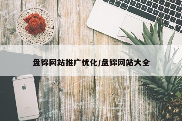 盘锦网站推广优化/盘锦网站大全