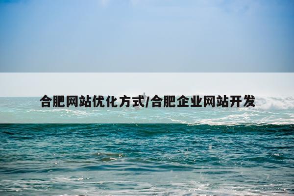 合肥网站优化方式/合肥企业网站开发