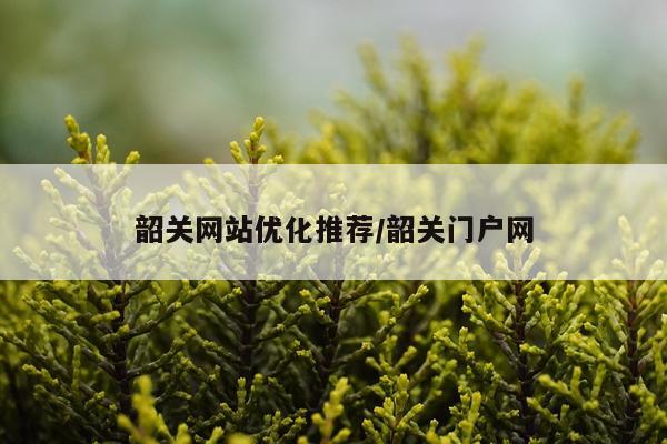 韶关网站优化推荐/韶关门户网