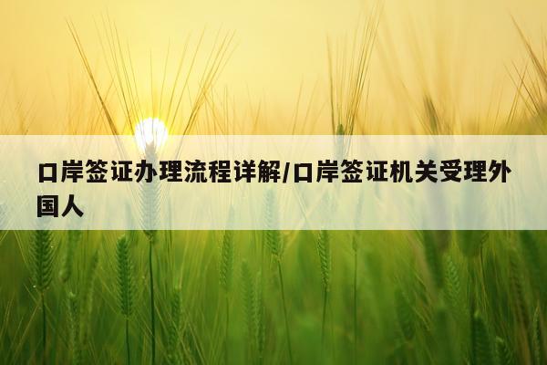 口岸签证办理流程详解/口岸签证机关受理外国人