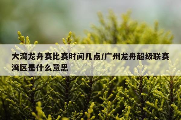 大湾龙舟赛比赛时间几点/广州龙舟超级联赛湾区是什么意思