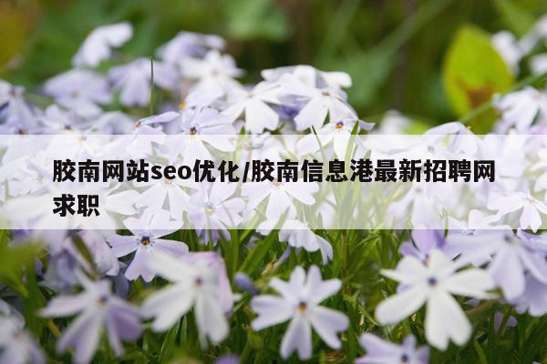 胶南网站seo优化/胶南信息港最新招聘网求职