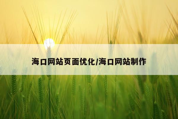 海口网站页面优化/海口网站制作