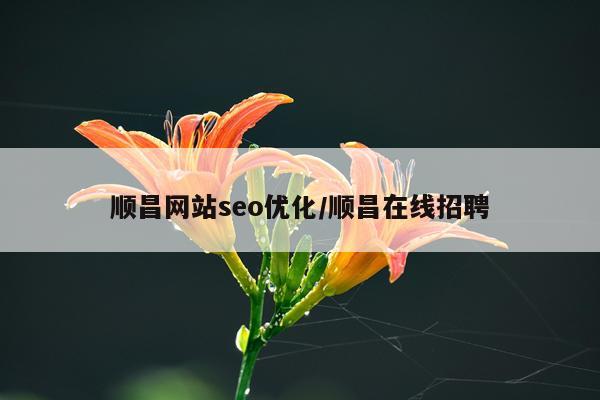 顺昌网站seo优化/顺昌在线招聘