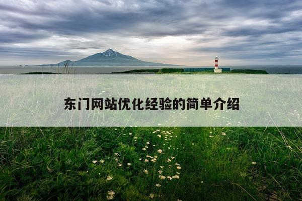 东门网站优化经验的简单介绍