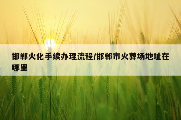 邯郸火化手续办理流程/邯郸市火葬场地址在哪里