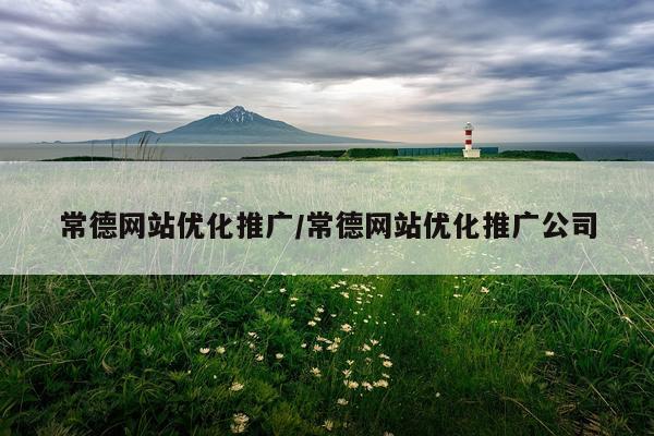 常德网站优化推广/常德网站优化推广公司