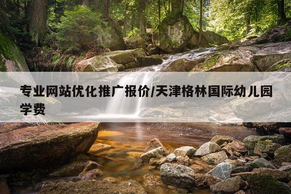 专业网站优化推广报价/天津格林国际幼儿园学费