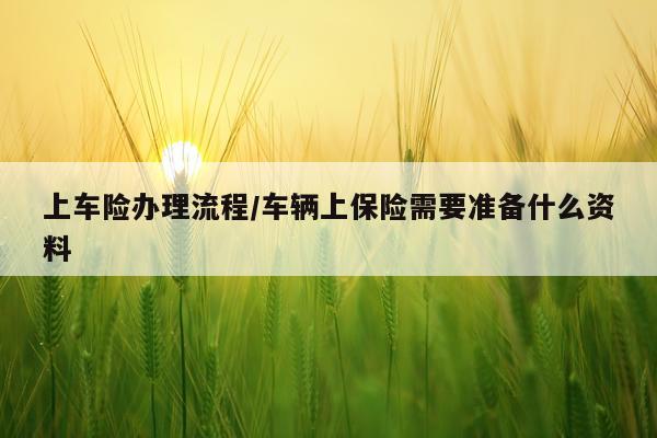 上车险办理流程/车辆上保险需要准备什么资料