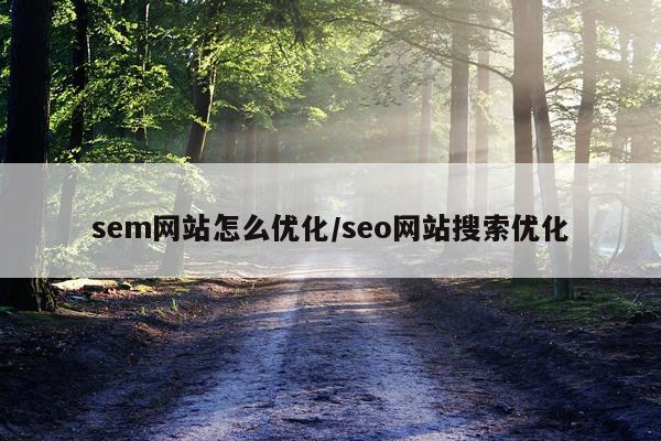 sem网站怎么优化/seo网站搜索优化