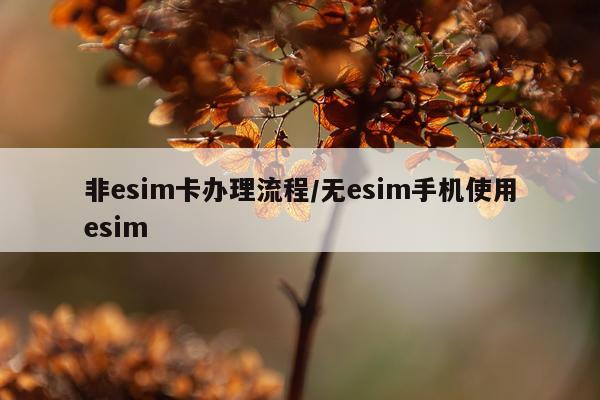 非esim卡办理流程/无esim手机使用esim