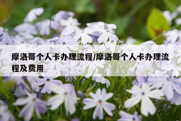 摩洛哥个人卡办理流程/摩洛哥个人卡办理流程及费用