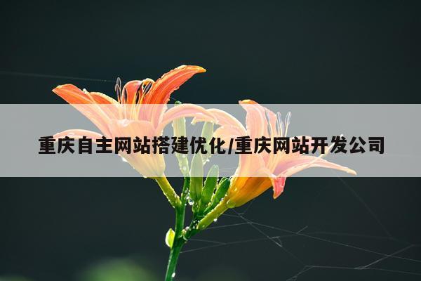 重庆自主网站搭建优化/重庆网站开发公司