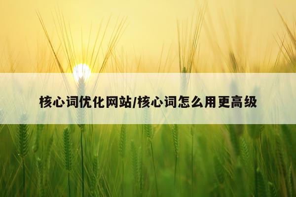 核心词优化网站/核心词怎么用更高级