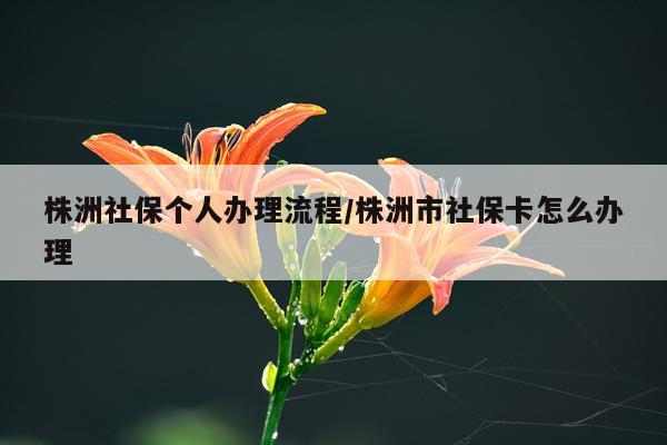 株洲社保个人办理流程/株洲市社保卡怎么办理