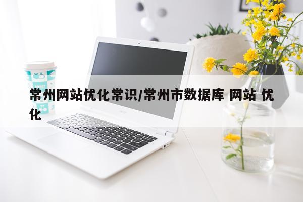 常州网站优化常识/常州市数据库 网站 优化