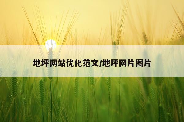 地坪网站优化范文/地坪网片图片