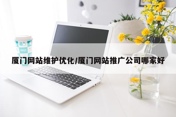 厦门网站维护优化/厦门网站推广公司哪家好