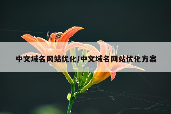 中文域名网站优化/中文域名网站优化方案