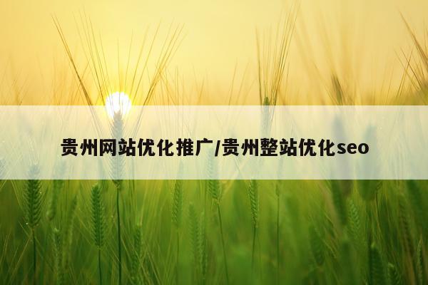 贵州网站优化推广/贵州整站优化seo