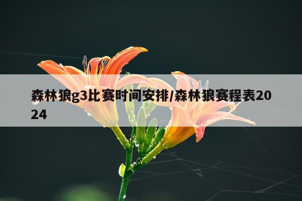 森林狼g3比赛时间安排/森林狼赛程表2024