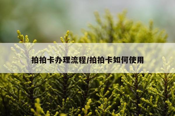 拍拍卡办理流程/拍拍卡如何使用