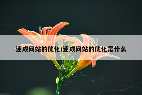 速成网站的优化/速成网站的优化是什么