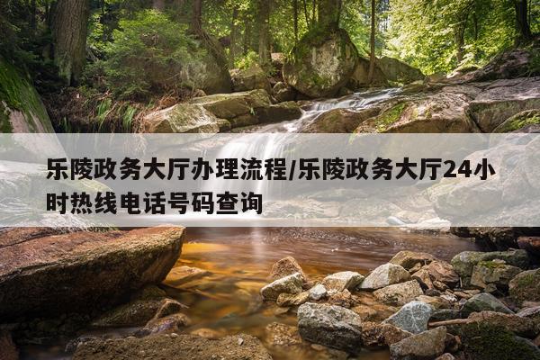 乐陵政务大厅办理流程/乐陵政务大厅24小时热线电话号码查询