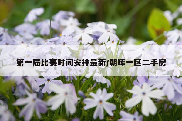 第一届比赛时间安排最新/朝晖一区二手房