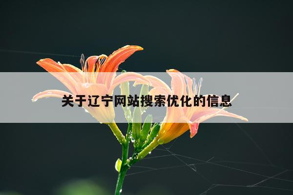 关于辽宁网站搜索优化的信息