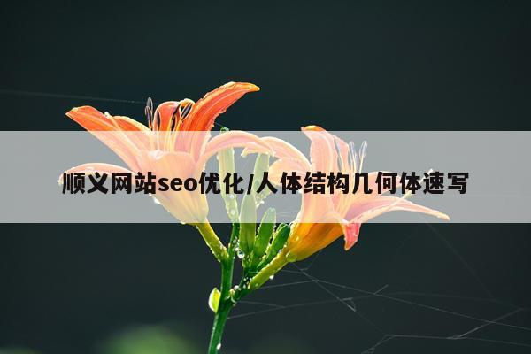 顺义网站seo优化/人体结构几何体速写