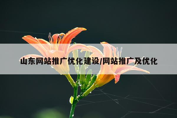 山东网站推广优化建设/网站推广及优化