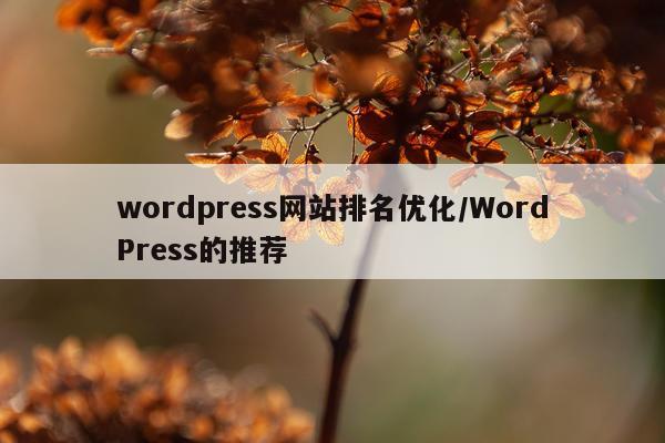 wordpress网站排名优化/WordPress的推荐