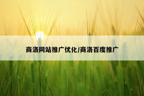 商洛网站推广优化/商洛百度推广