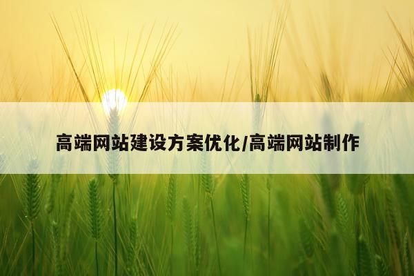 高端网站建设方案优化/高端网站制作