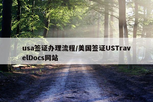 usa签证办理流程/美国签证USTravelDocs网站