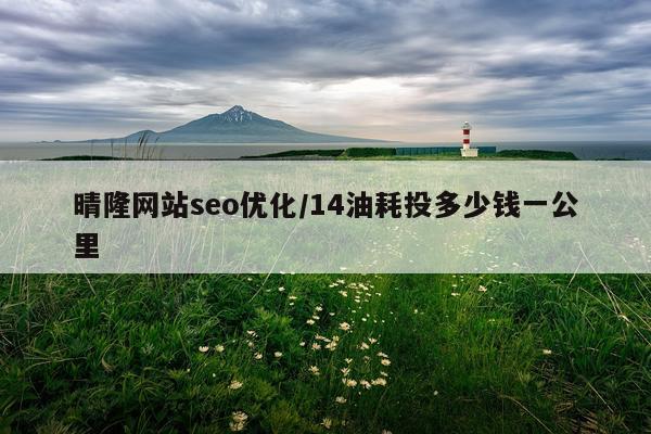 晴隆网站seo优化/14油耗投多少钱一公里