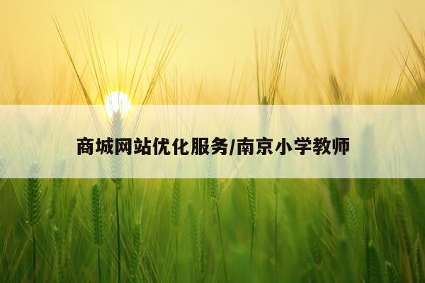 商城网站优化服务/南京小学教师