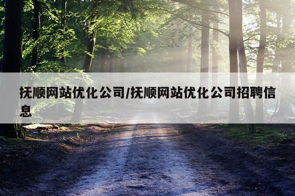 抚顺网站优化公司/抚顺网站优化公司招聘信息