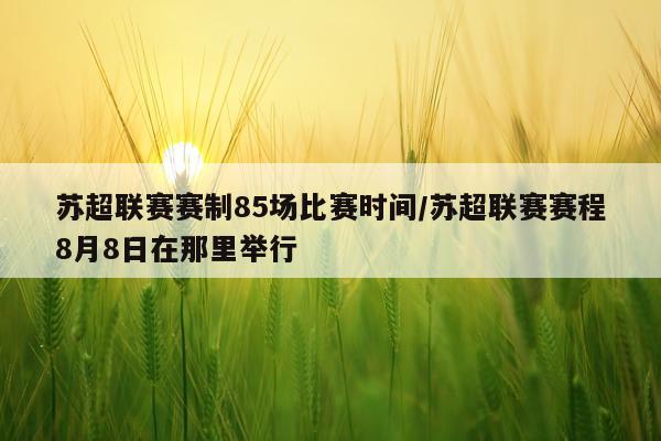 苏超联赛赛制85场比赛时间/苏超联赛赛程8月8日在那里举行