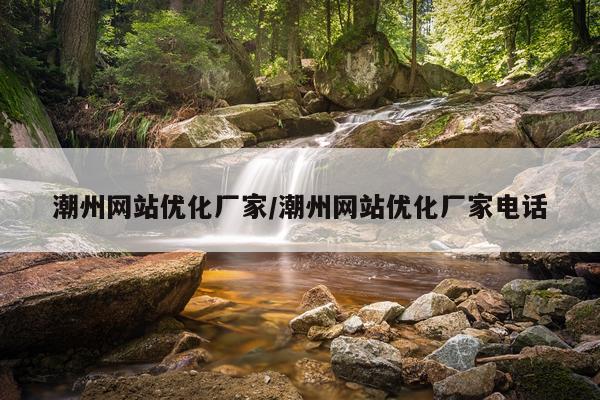 潮州网站优化厂家/潮州网站优化厂家电话