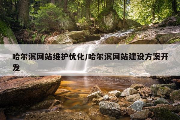 哈尔滨网站维护优化/哈尔滨网站建设方案开发