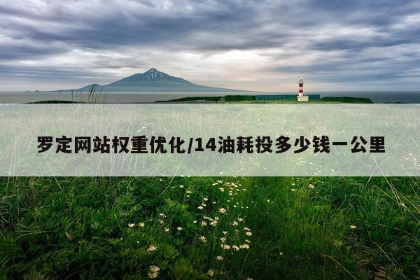 罗定网站权重优化/14油耗投多少钱一公里