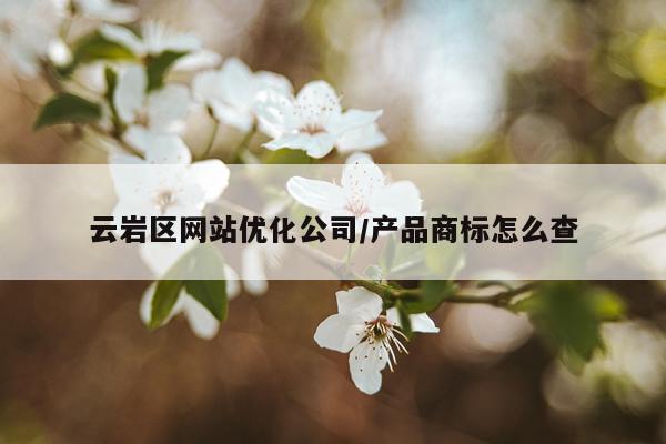 云岩区网站优化公司/产品商标怎么查