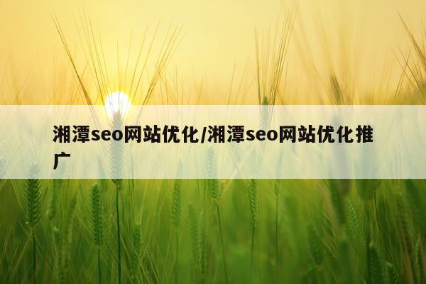 湘潭seo网站优化/湘潭seo网站优化推广