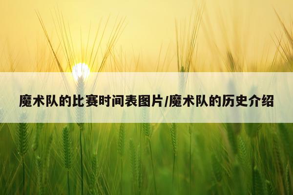 魔术队的比赛时间表图片/魔术队的历史介绍
