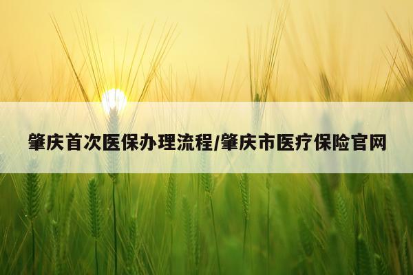 肇庆首次医保办理流程/肇庆市医疗保险官网