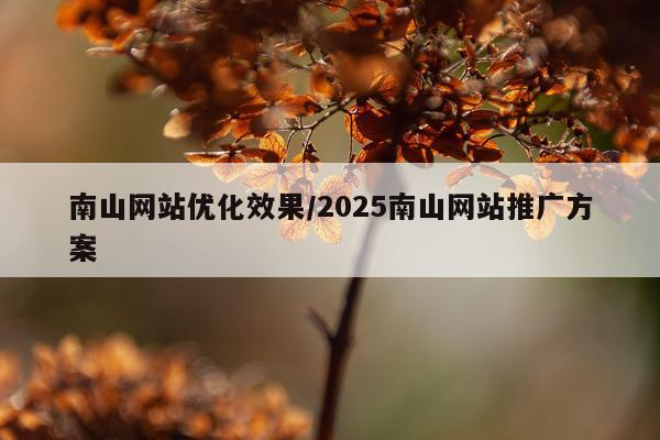 南山网站优化效果/2025南山网站推广方案