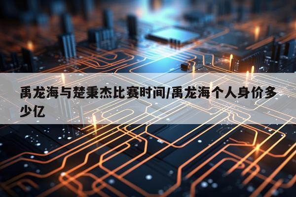 禹龙海与楚秉杰比赛时间/禹龙海个人身价多少亿